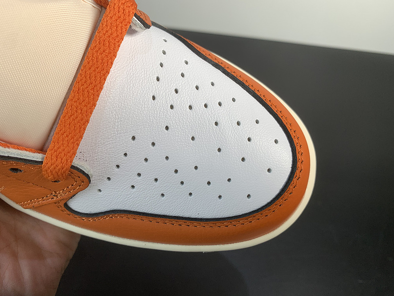 AIR JORDAN 1 RETRO HIOG DO9369-101