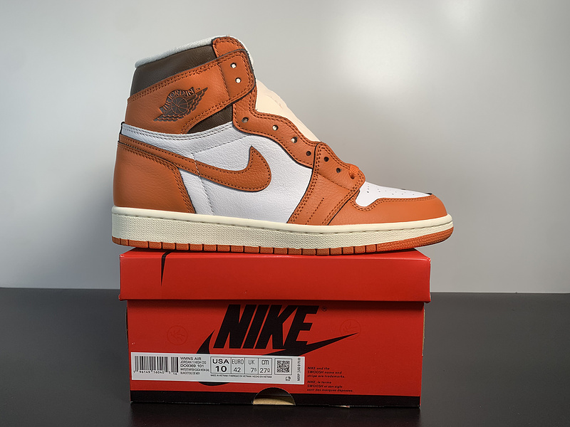 AIR JORDAN 1 RETRO HIOG DO9369-101