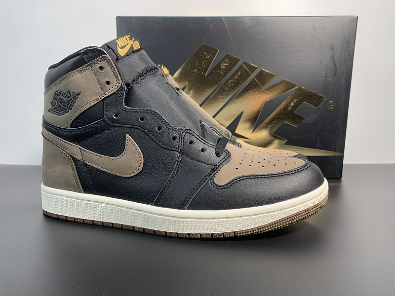 Air Jordan 1 High OG Palomino DZ5485-020