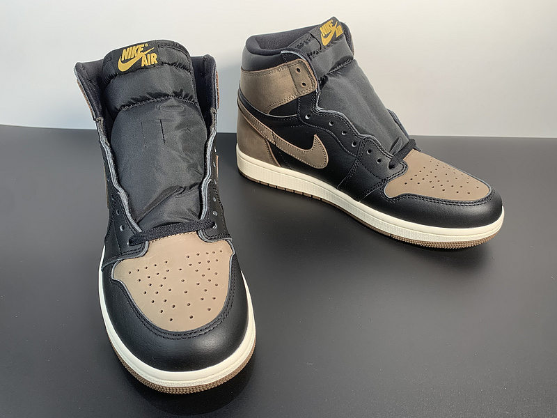 Air Jordan 1 High OG Palomino DZ5485-020