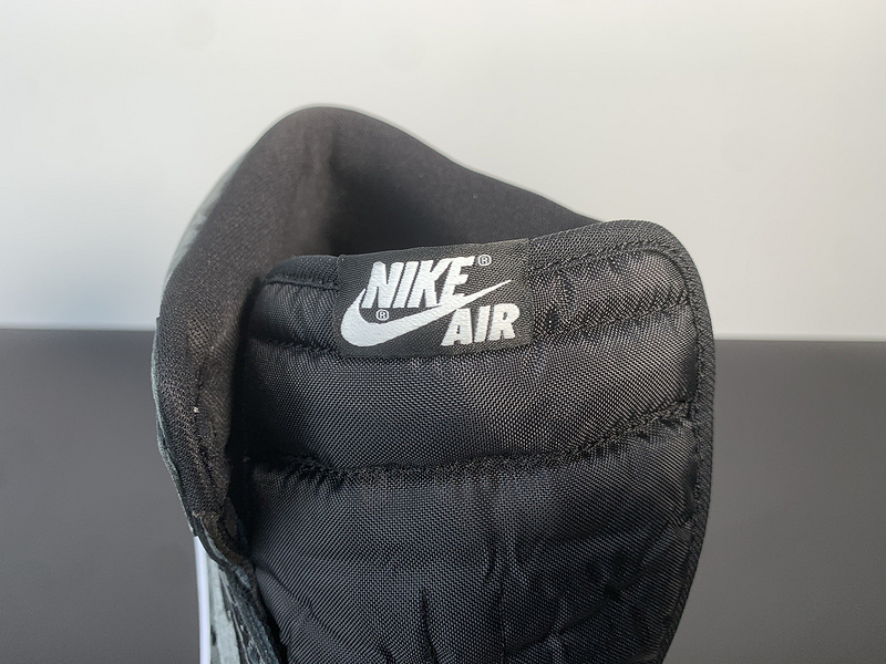 Air Jordan 1 High OG “Rebellionaire”555088-036