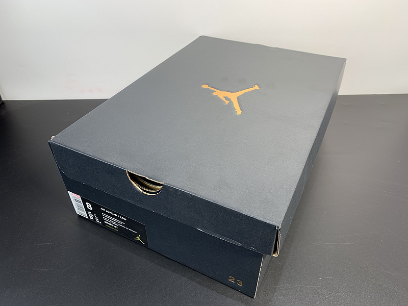 Nike Air Jordan 1 Retro Low 309192-101