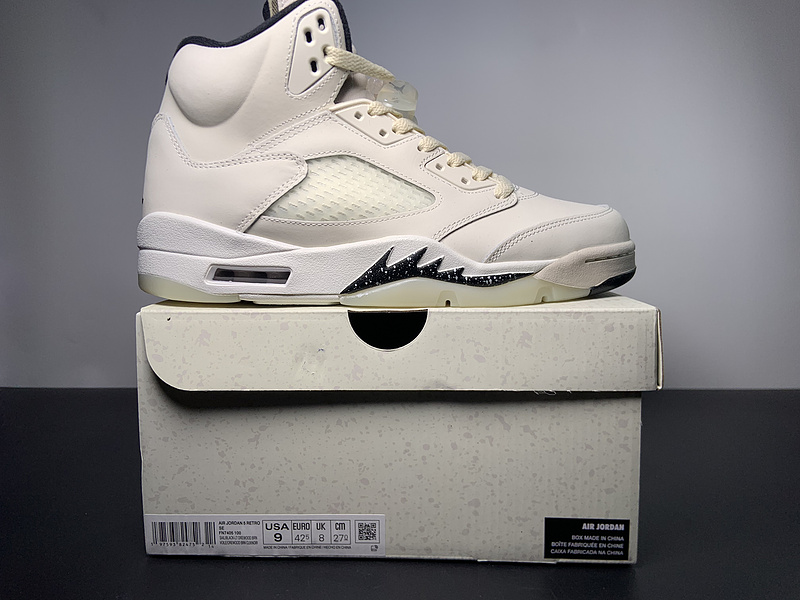 Air Jordan 5 Retro  SE 