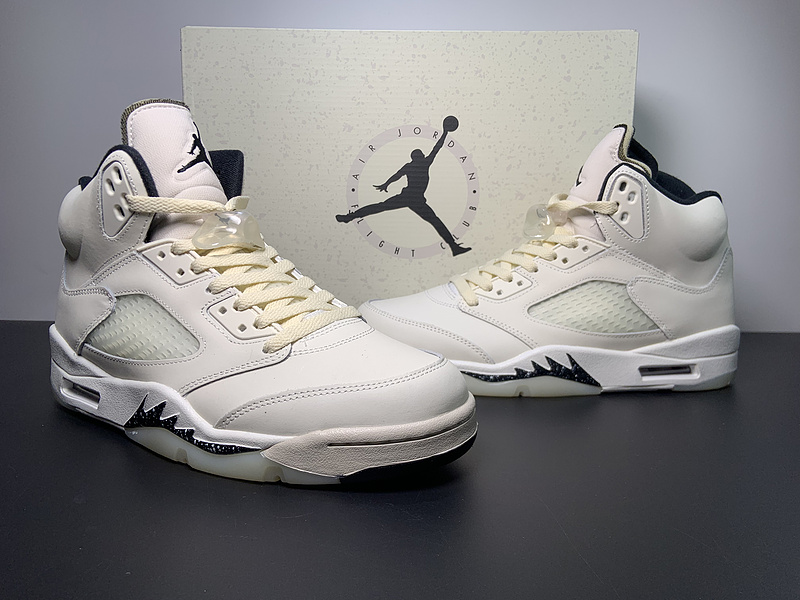 Air Jordan 5 Retro  SE 