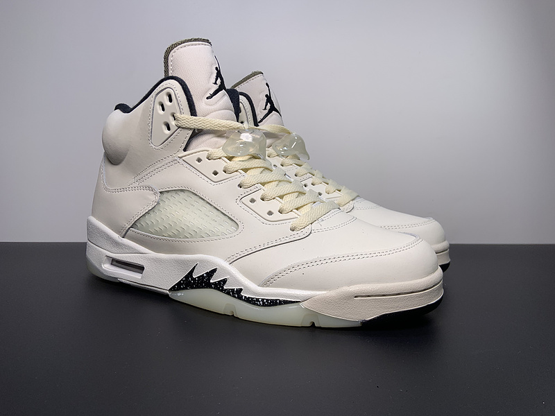 Air Jordan 5 Retro  SE 