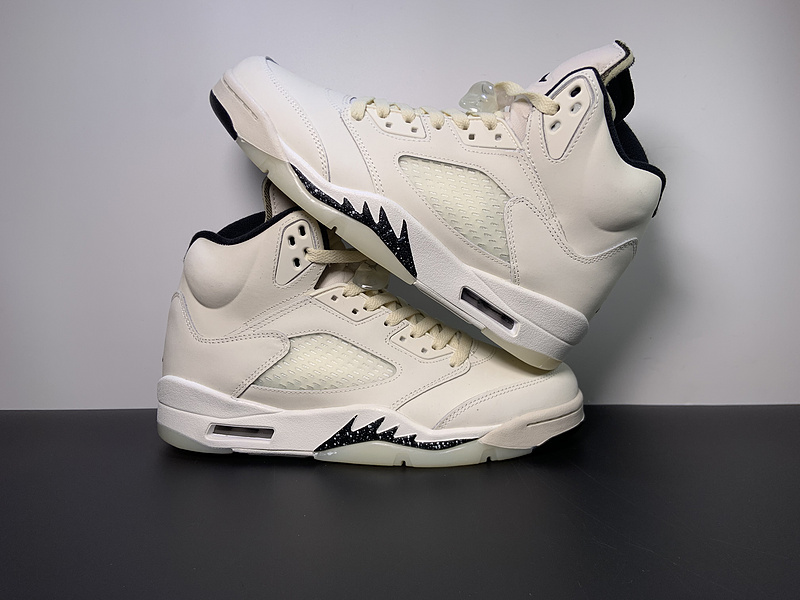 Air Jordan 5 Retro  SE 