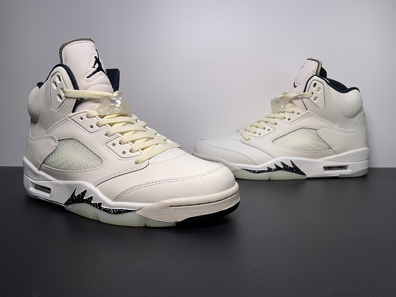 Air Jordan 5 Retro  SE 