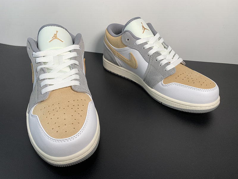 Air Jordan 1 Low DC0774-189