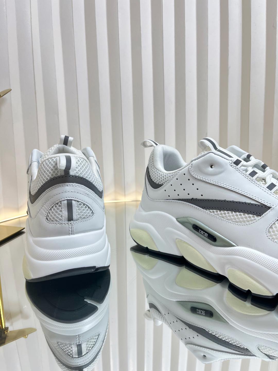 Dior B22 Sneaker