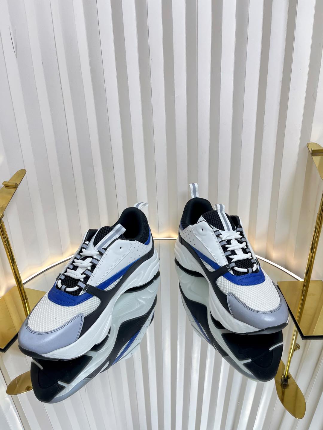 Dior B22 Sneaker