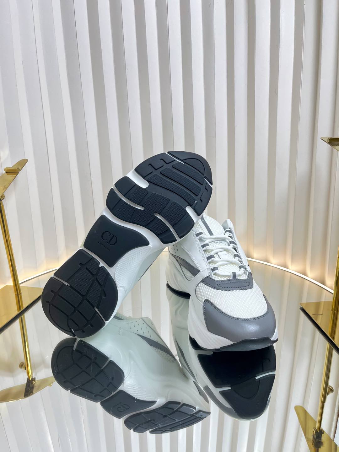 Dior B22 Sneaker