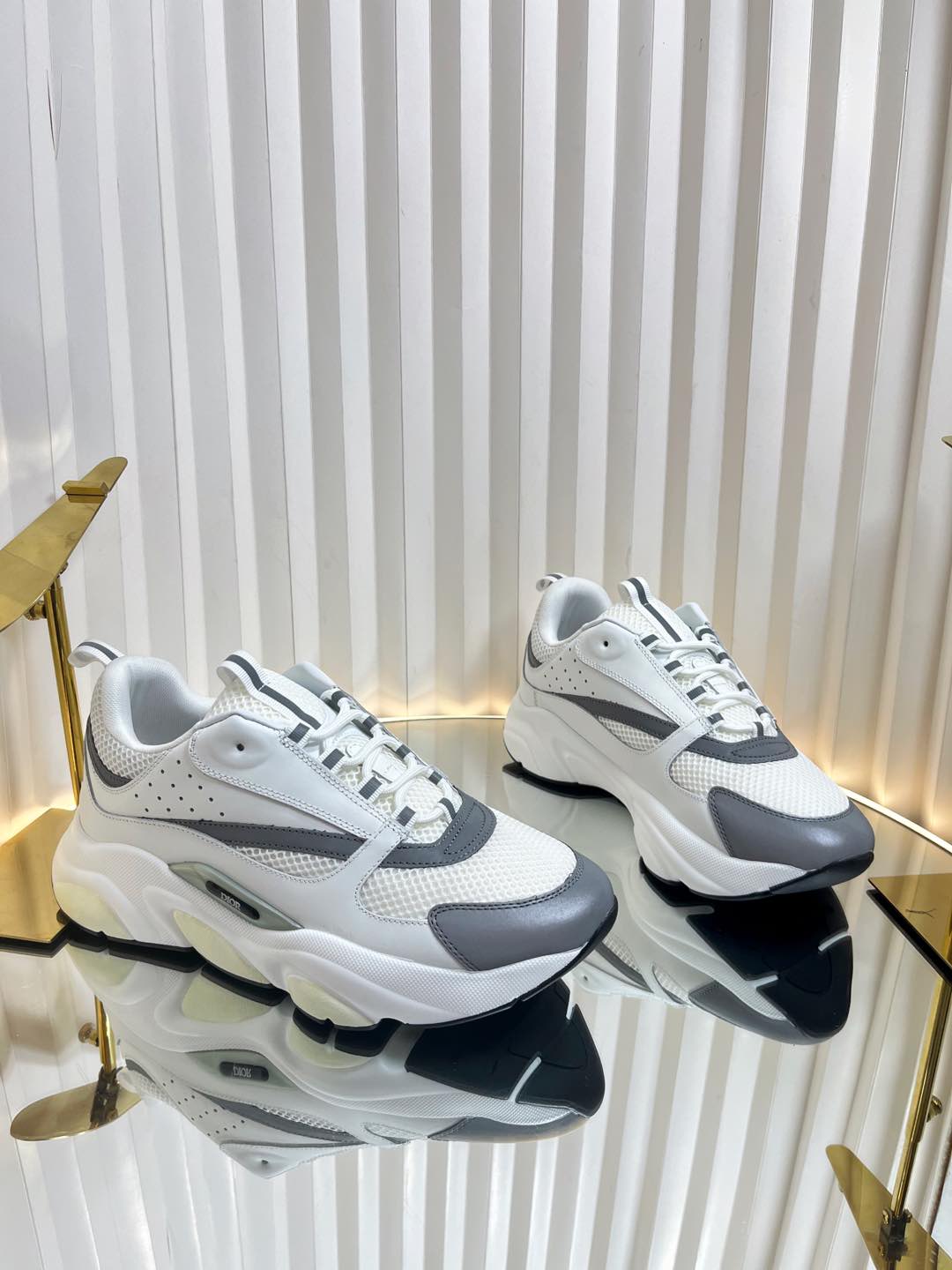 Dior B22 Sneaker