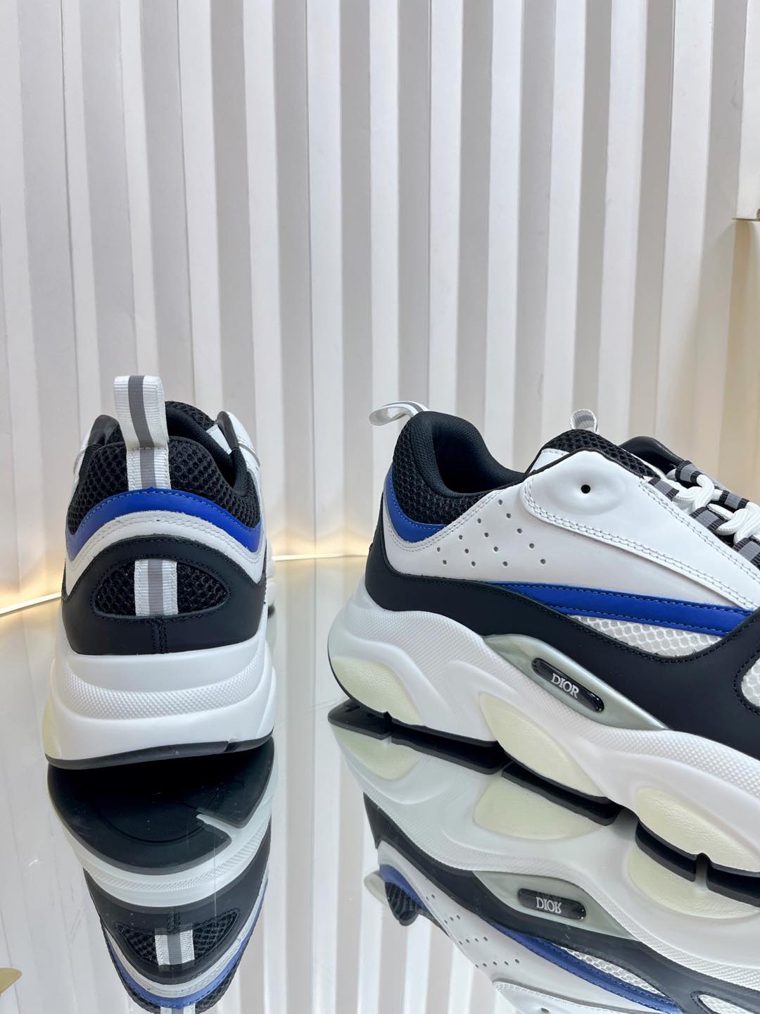 Dior B22 Sneaker