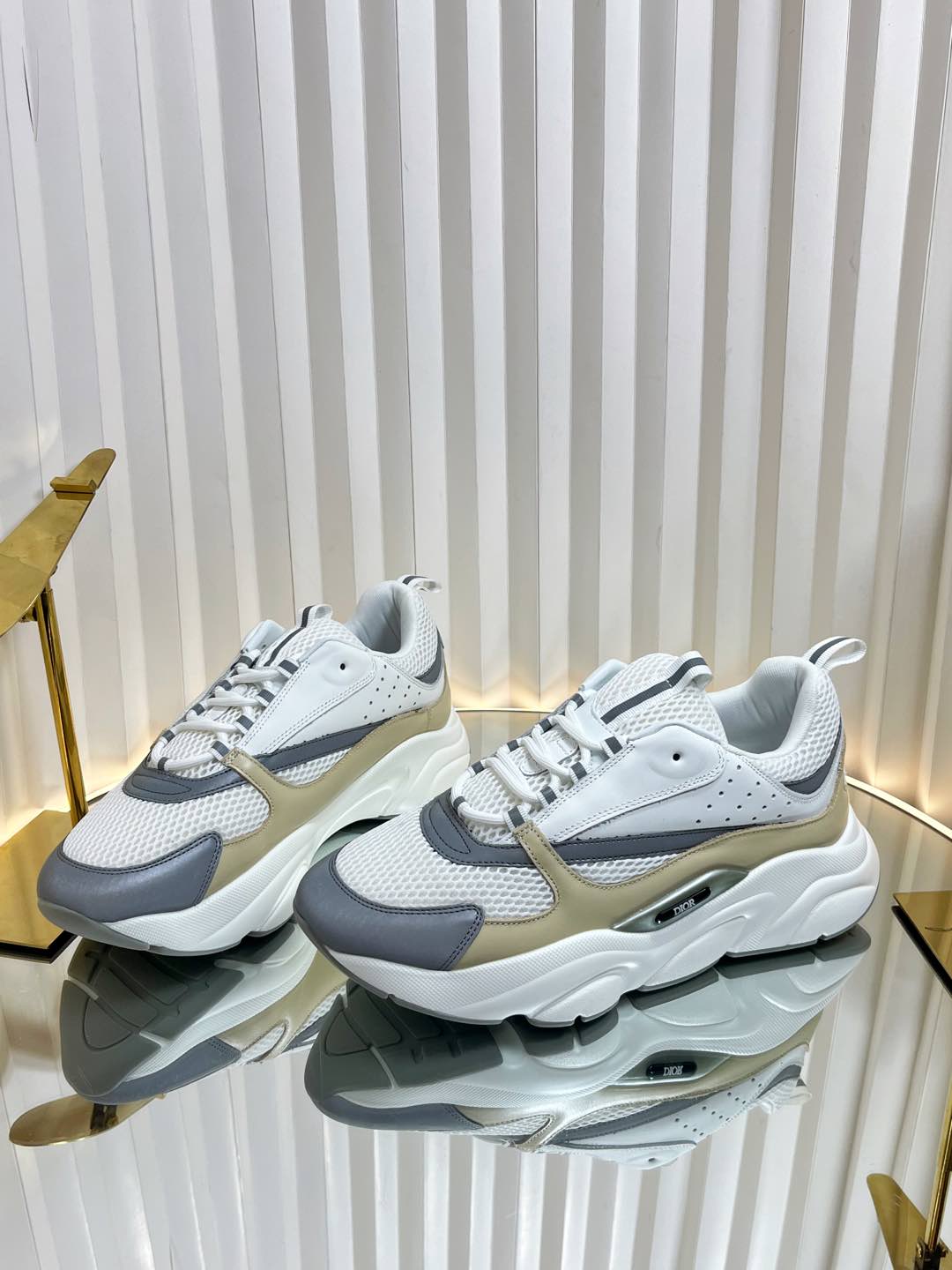 Dior B22 Sneaker
