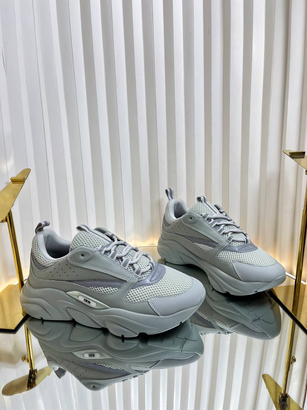 Dior B22 Sneaker