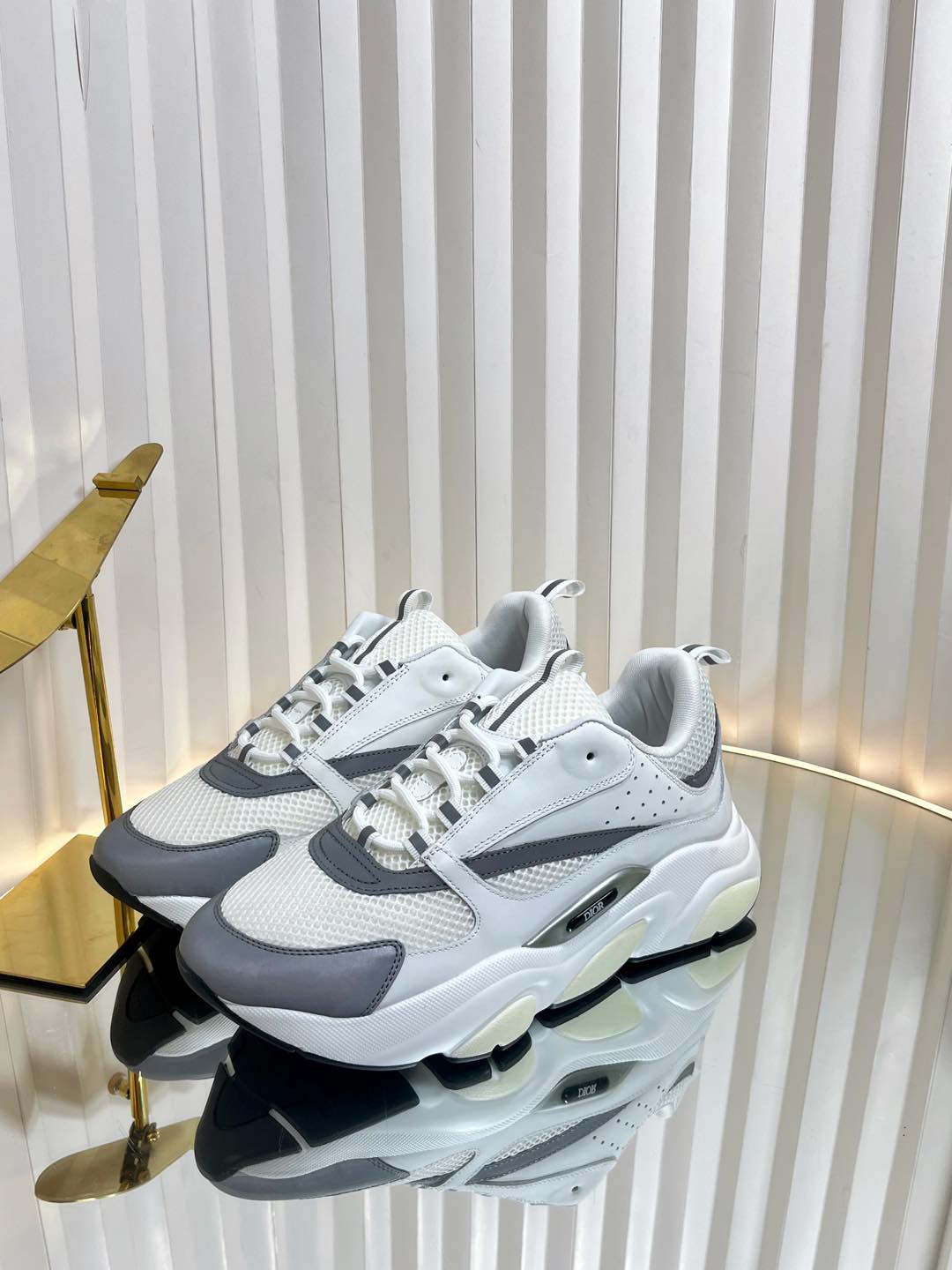 Dior B22 Sneaker