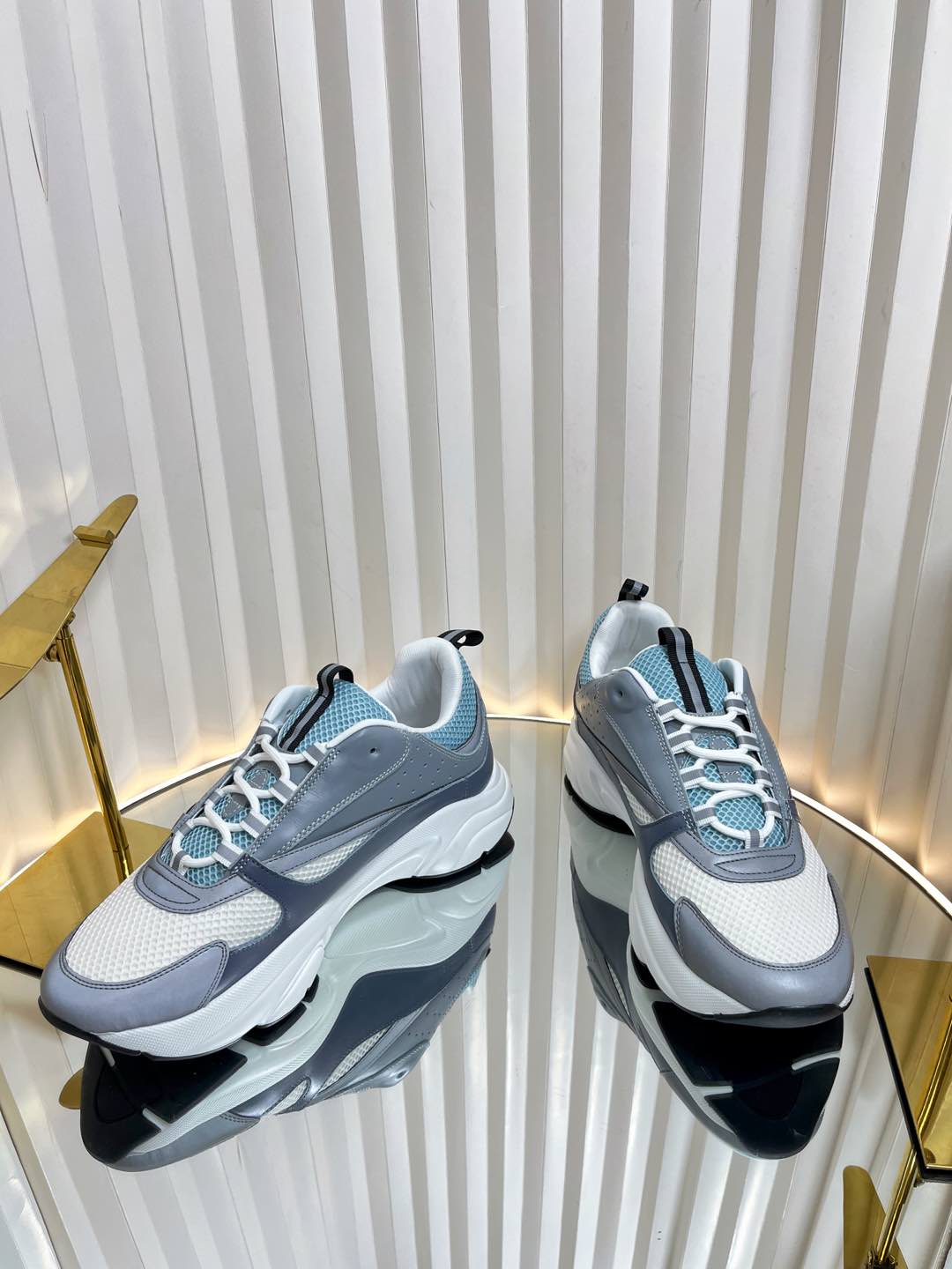 Dior B22 Sneaker