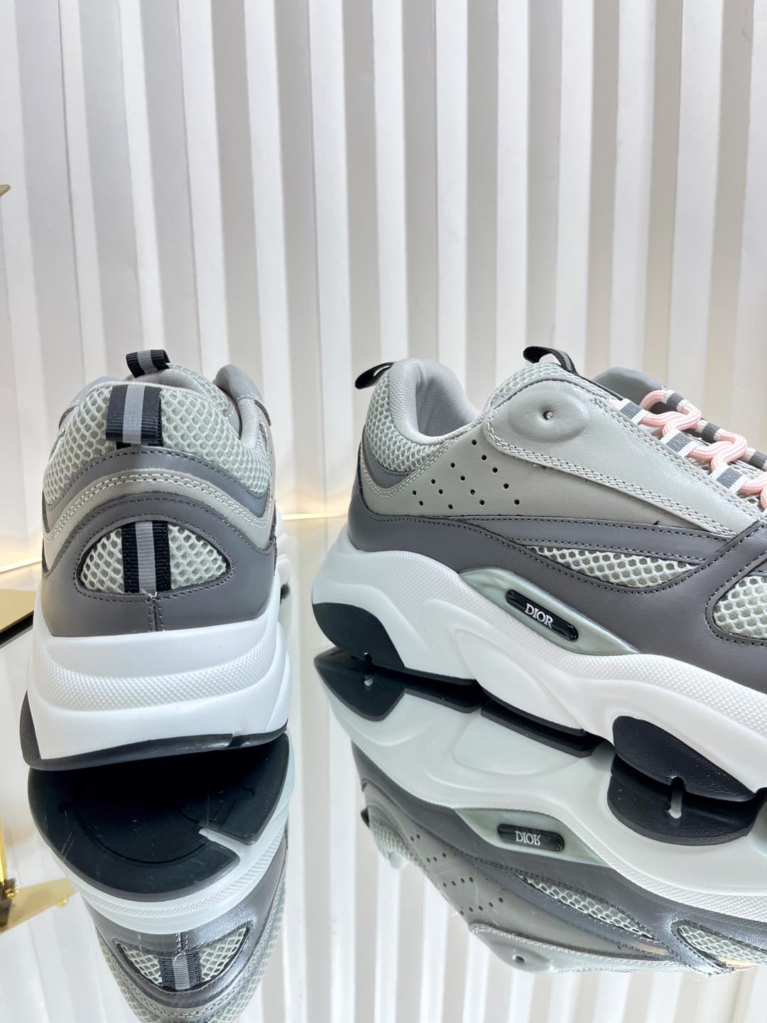 Dior B22 Sneaker