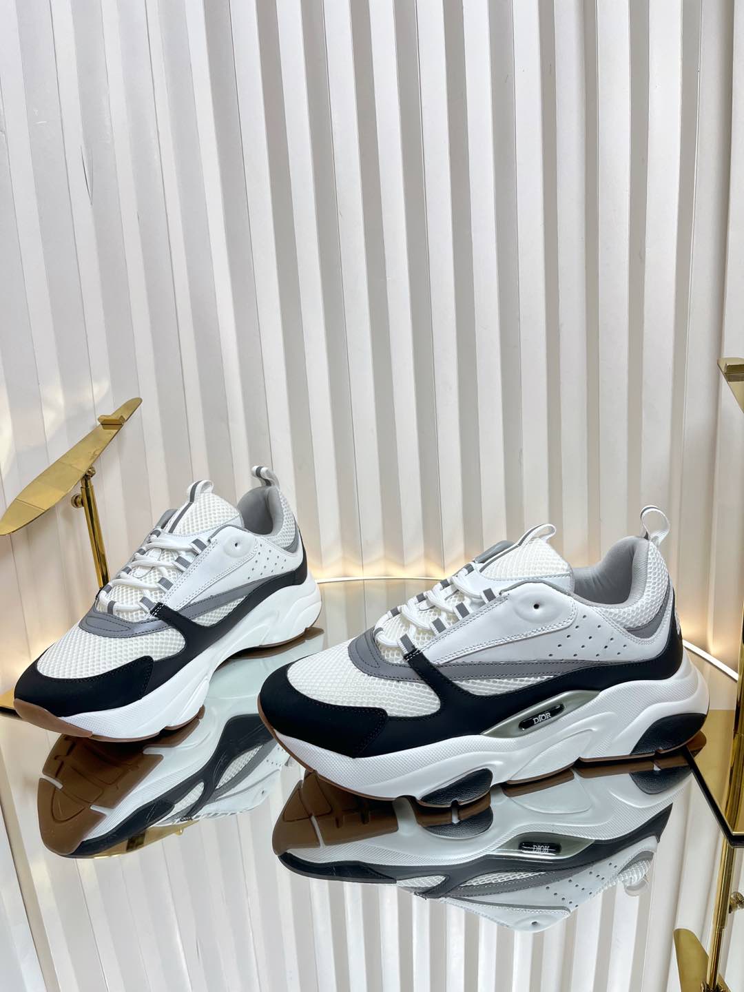 Dior B22 Sneaker