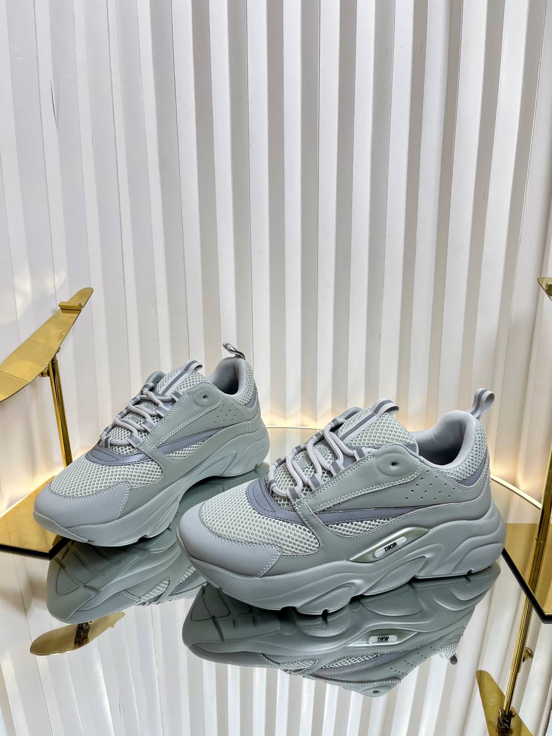Dior B22 Sneaker