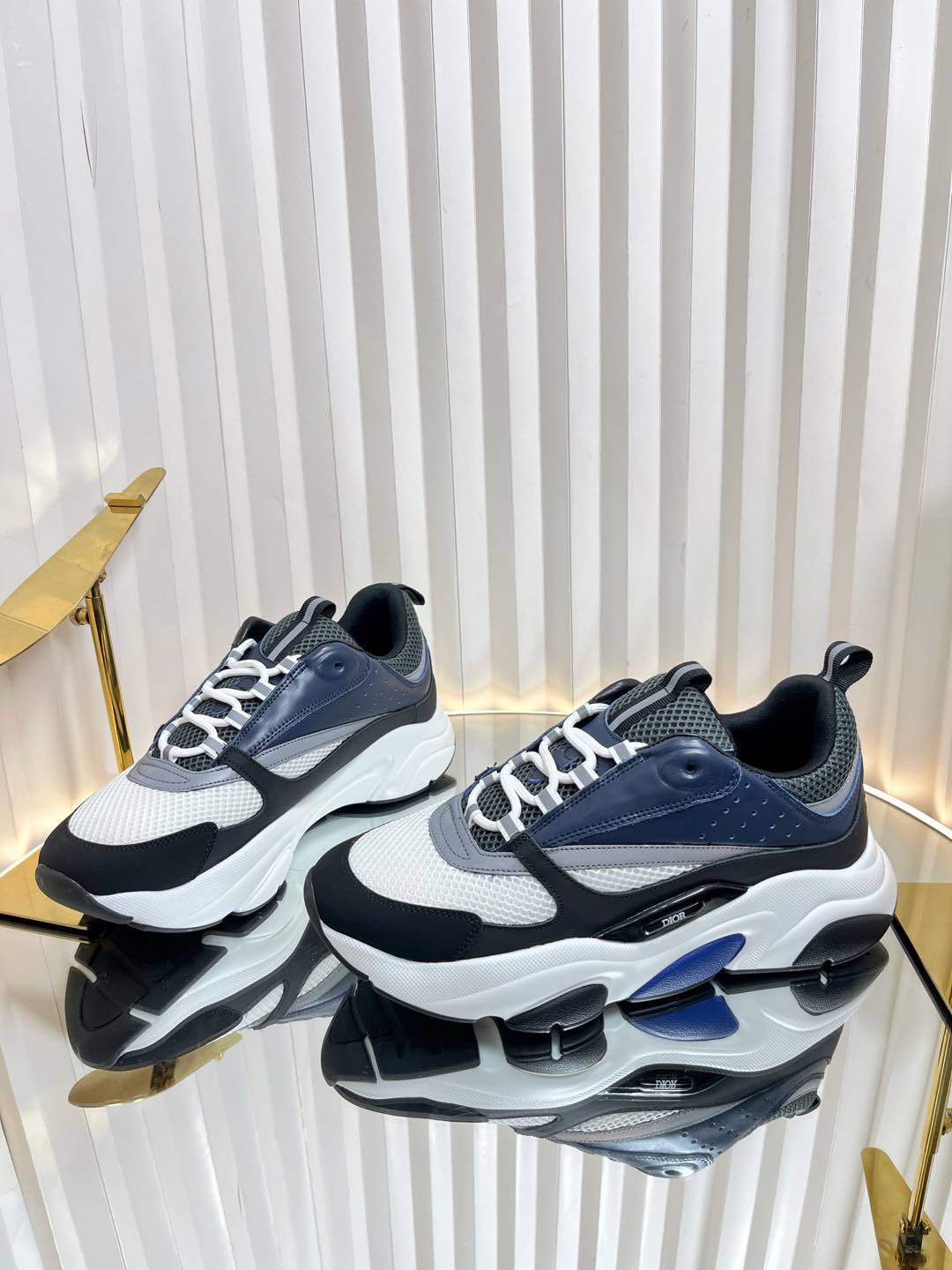 Dior B22 Sneaker