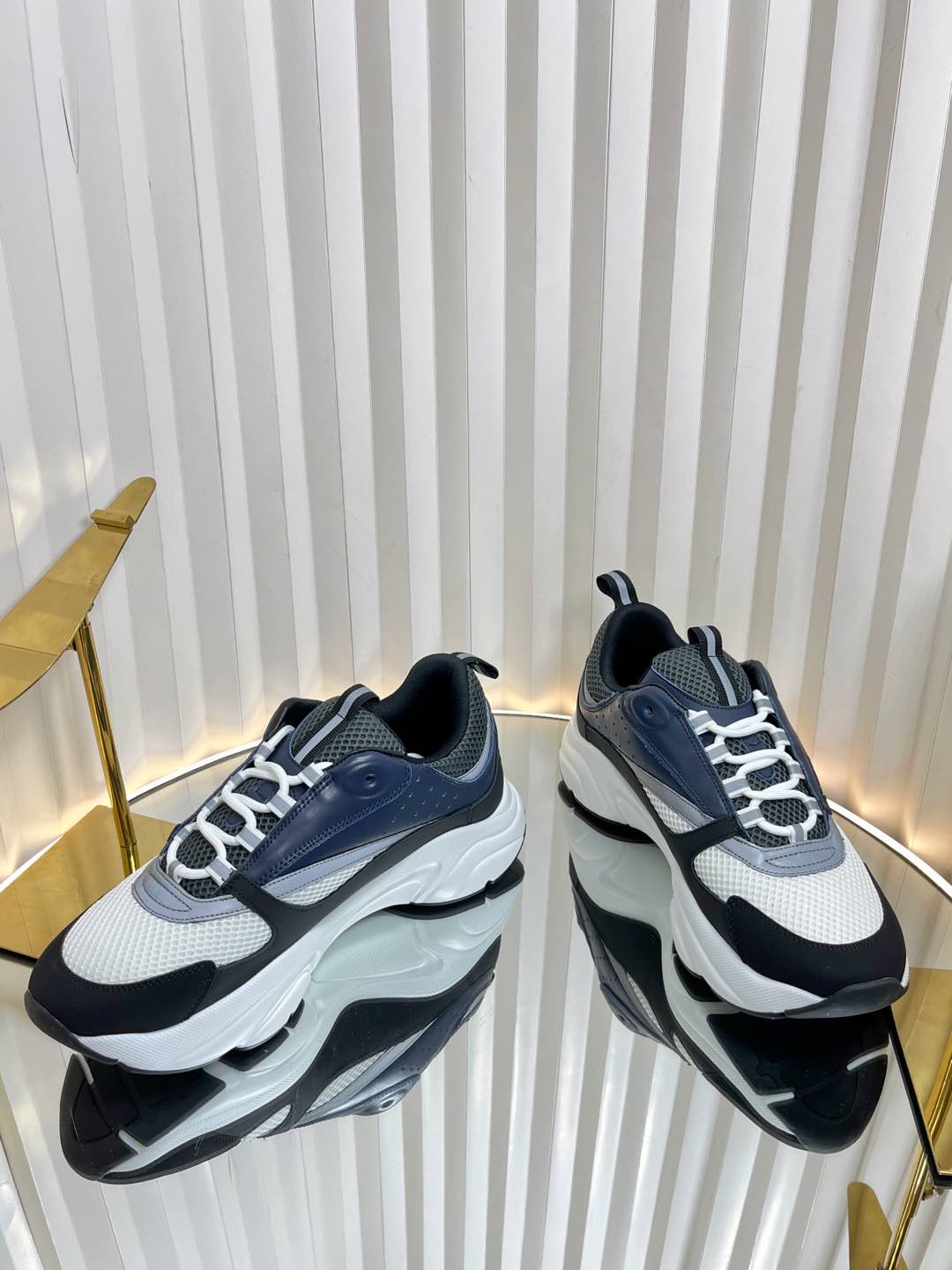 Dior B22 Sneaker