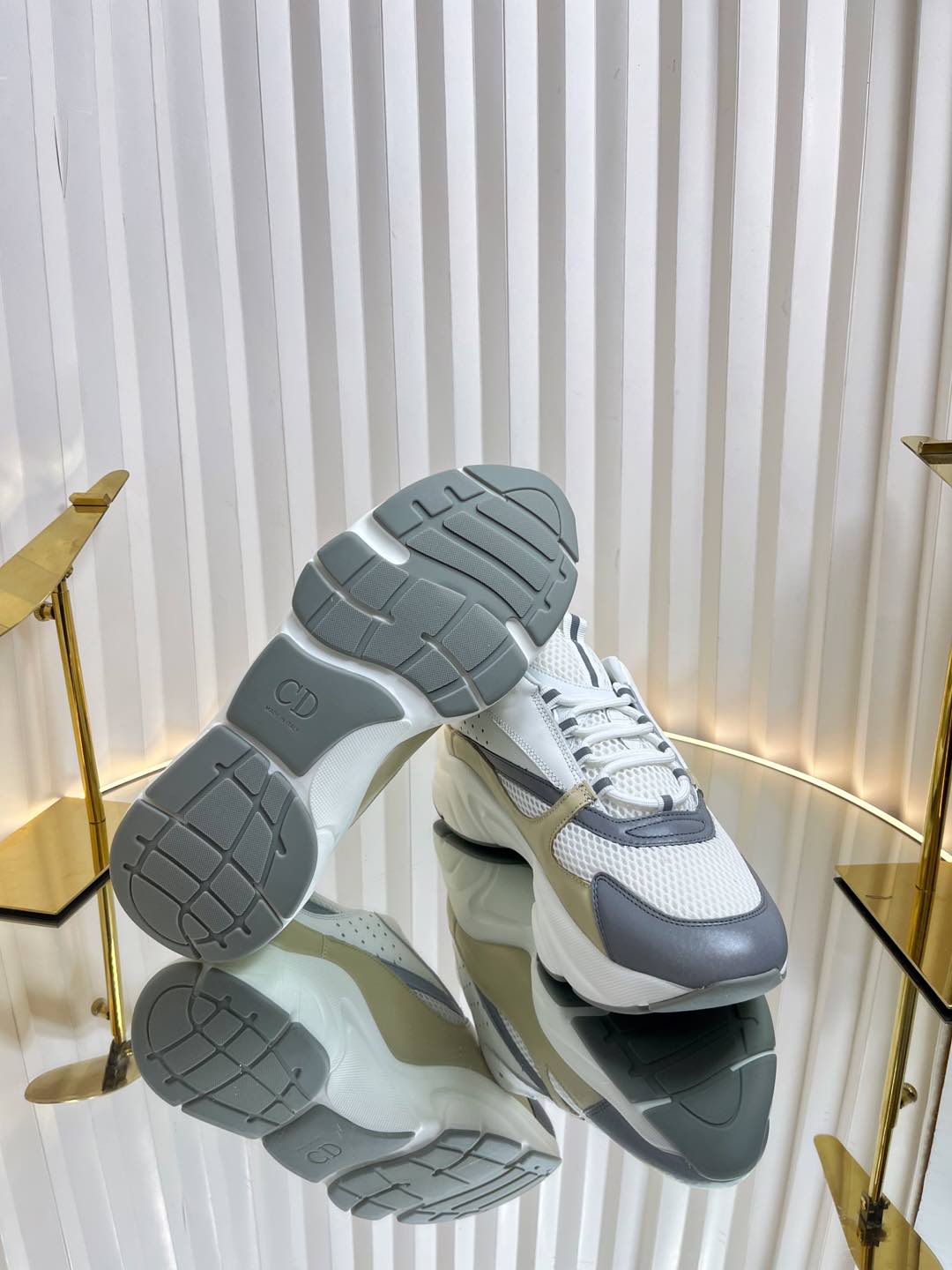 Dior B22 Sneaker