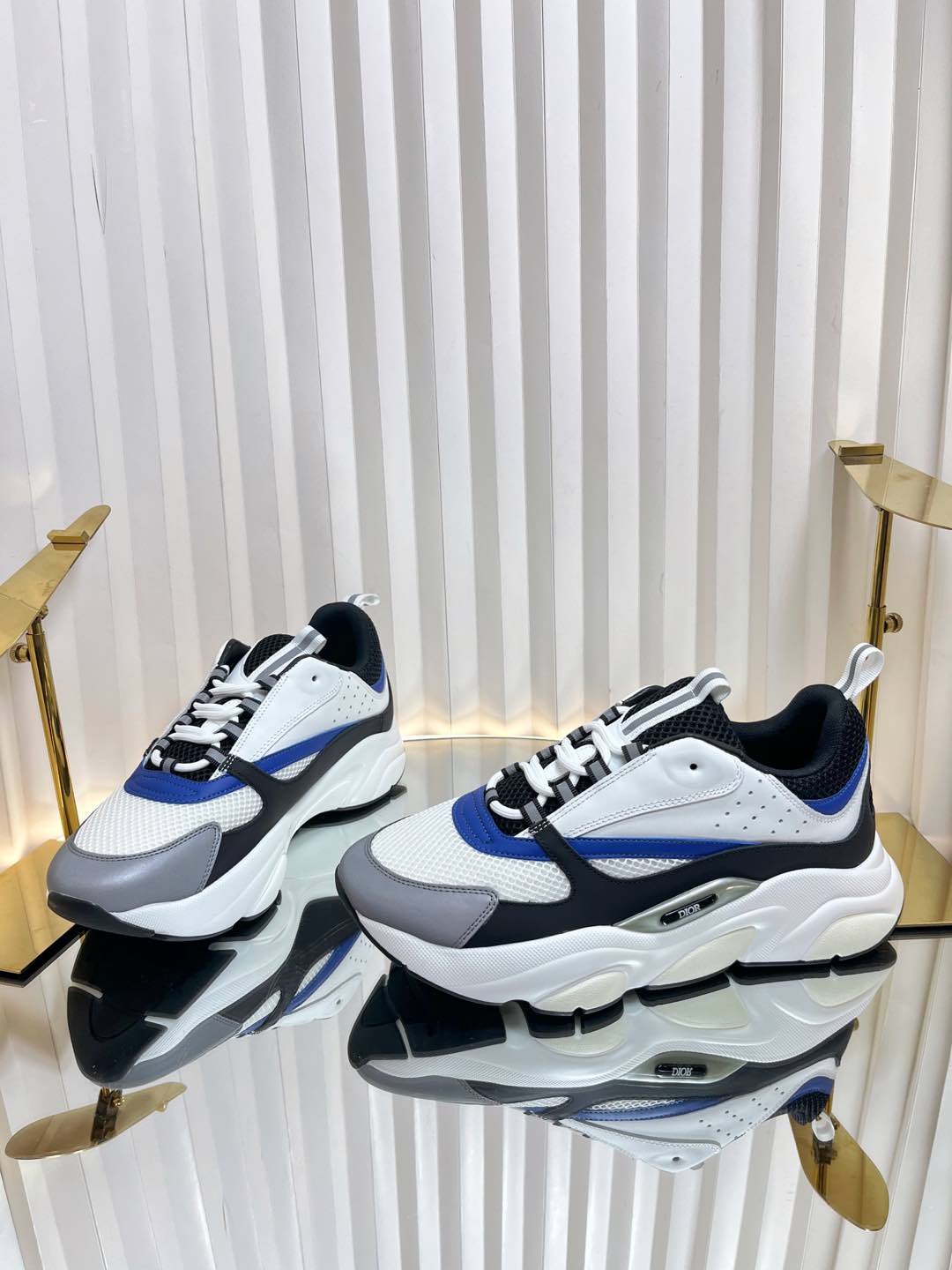 Dior B22 Sneaker