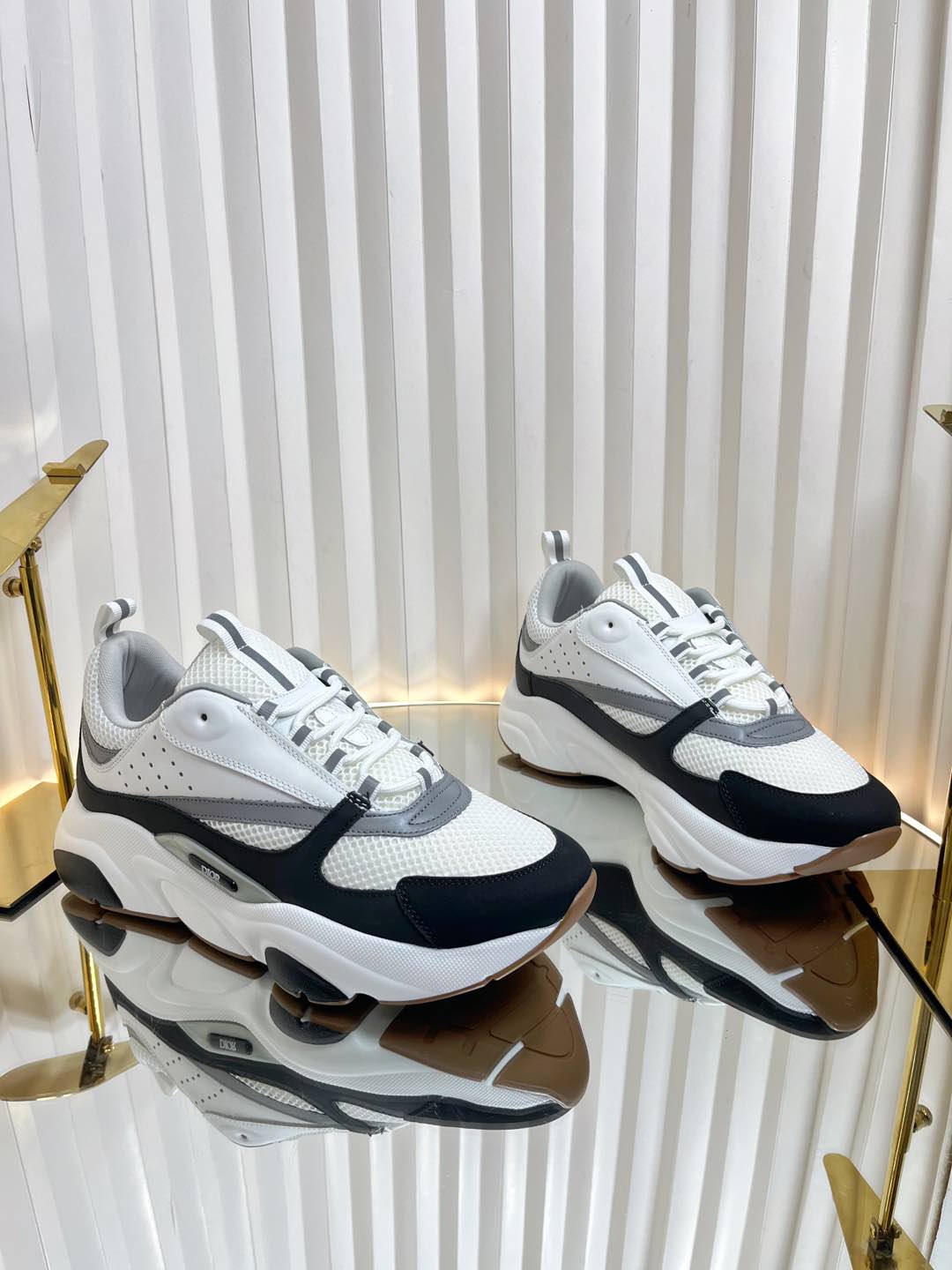 Dior B22 Sneaker