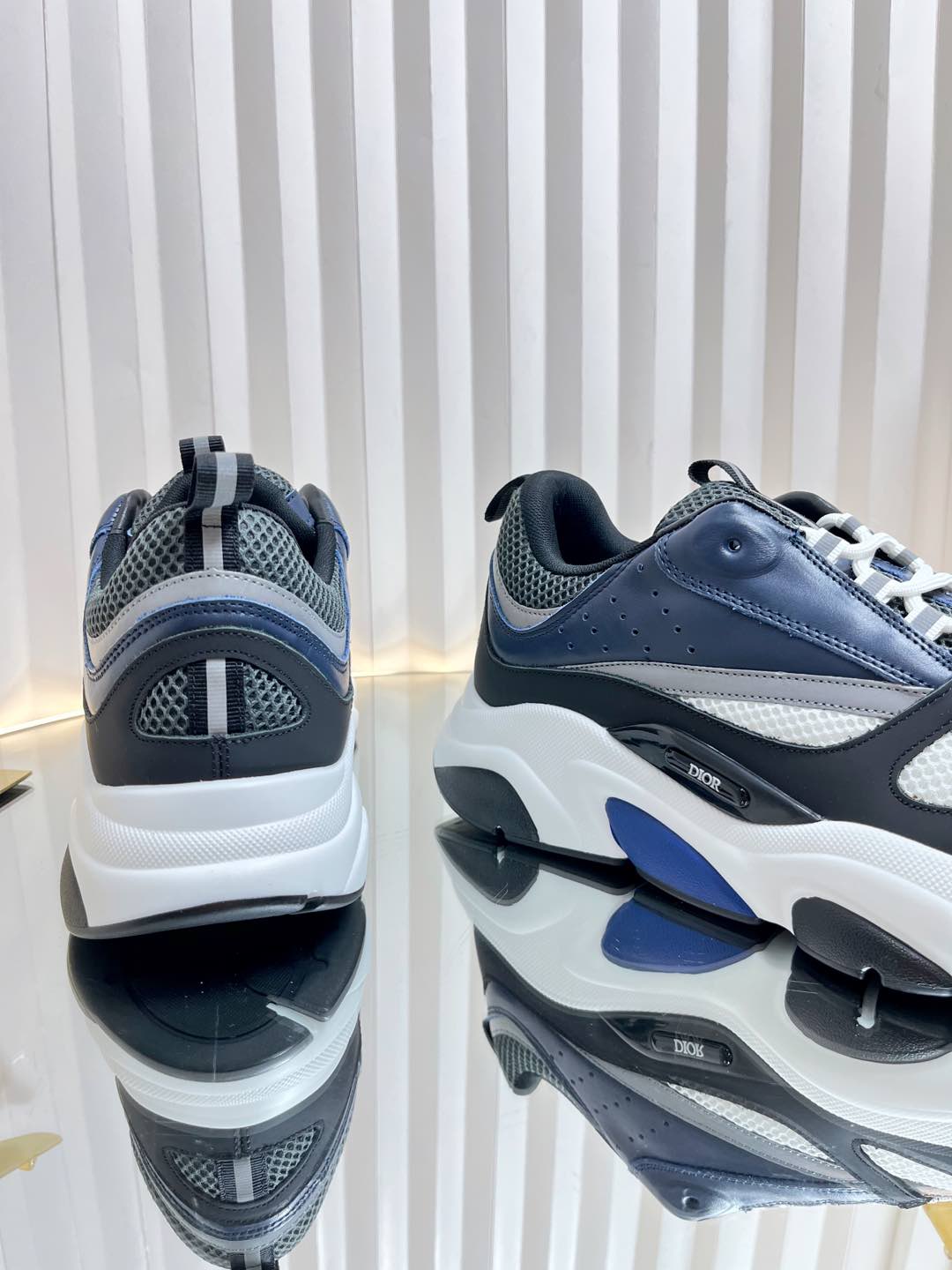 Dior B22 Sneaker