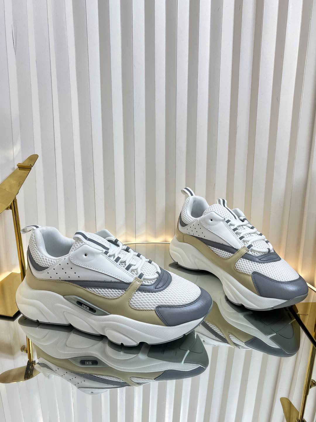 Dior B22 Sneaker