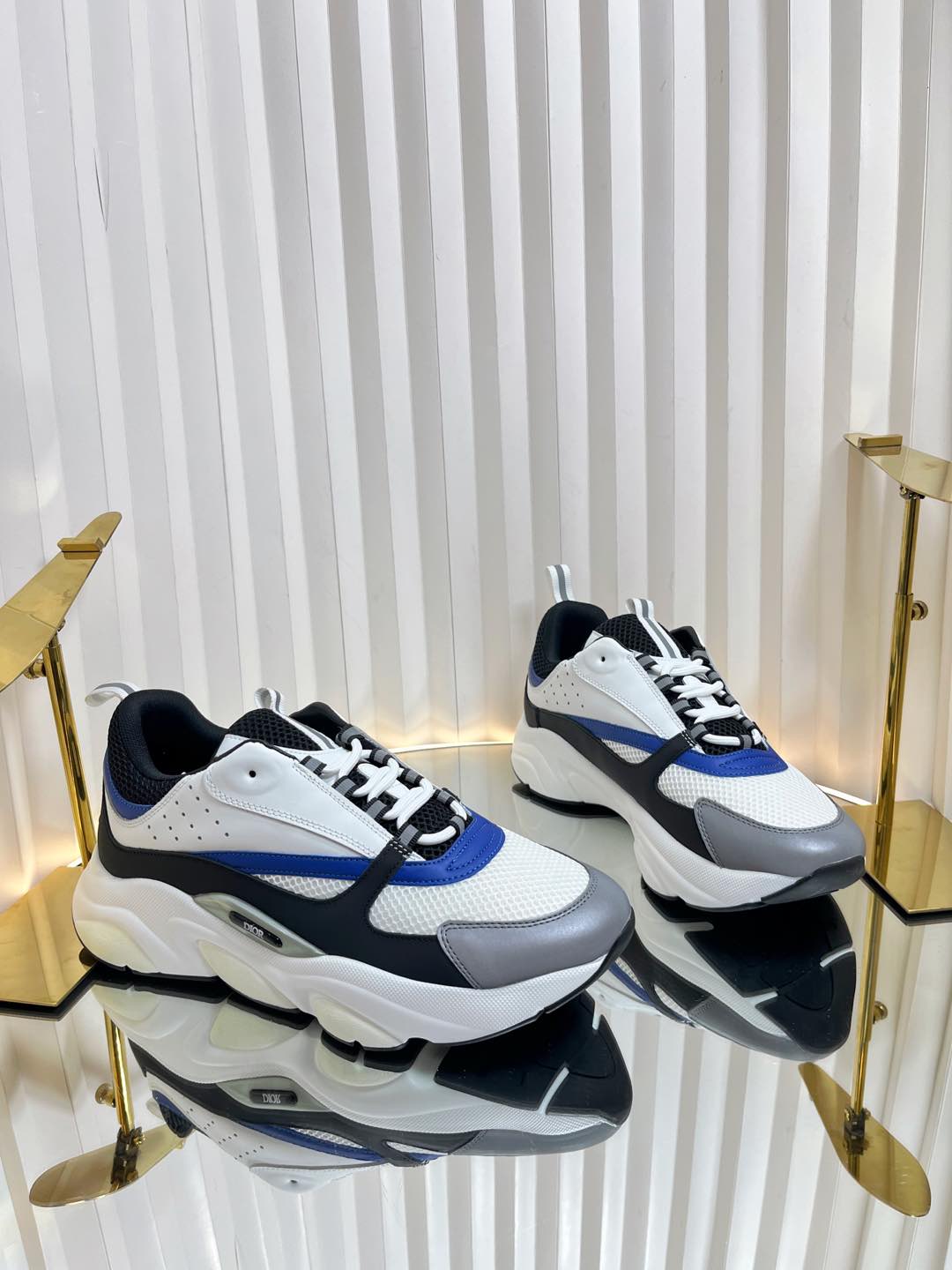 Dior B22 Sneaker