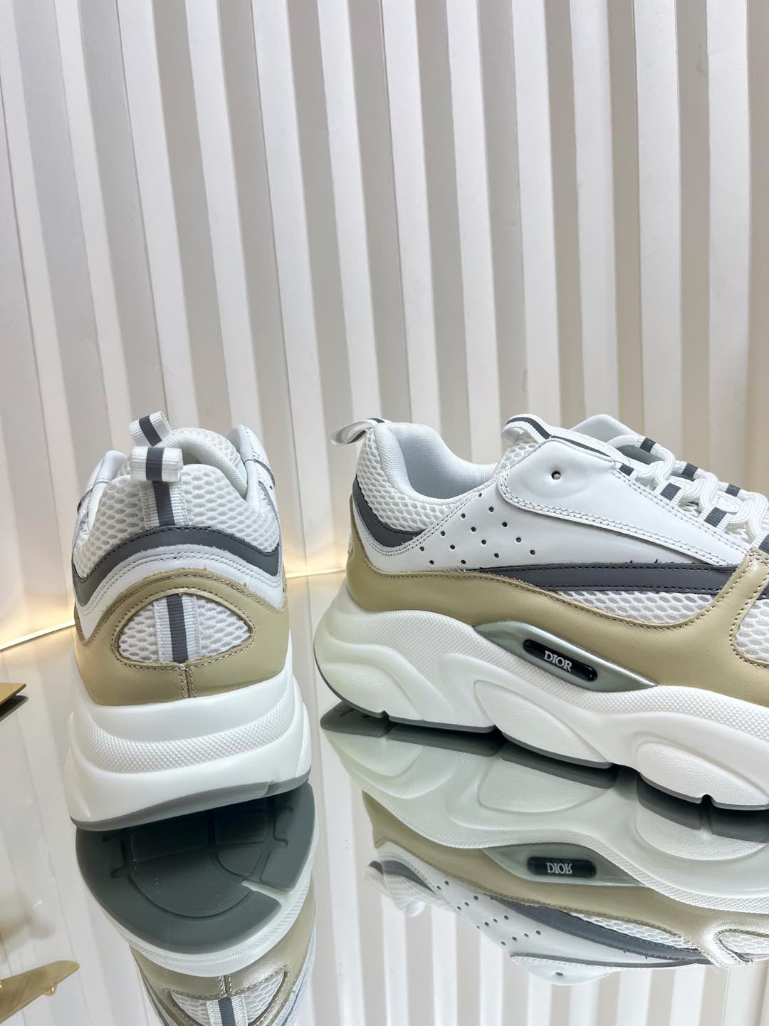 Dior B22 Sneaker