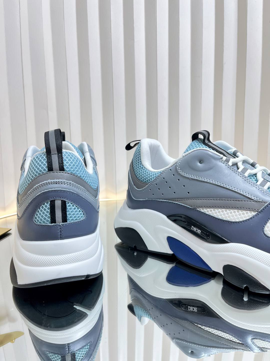 Dior B22 Sneaker