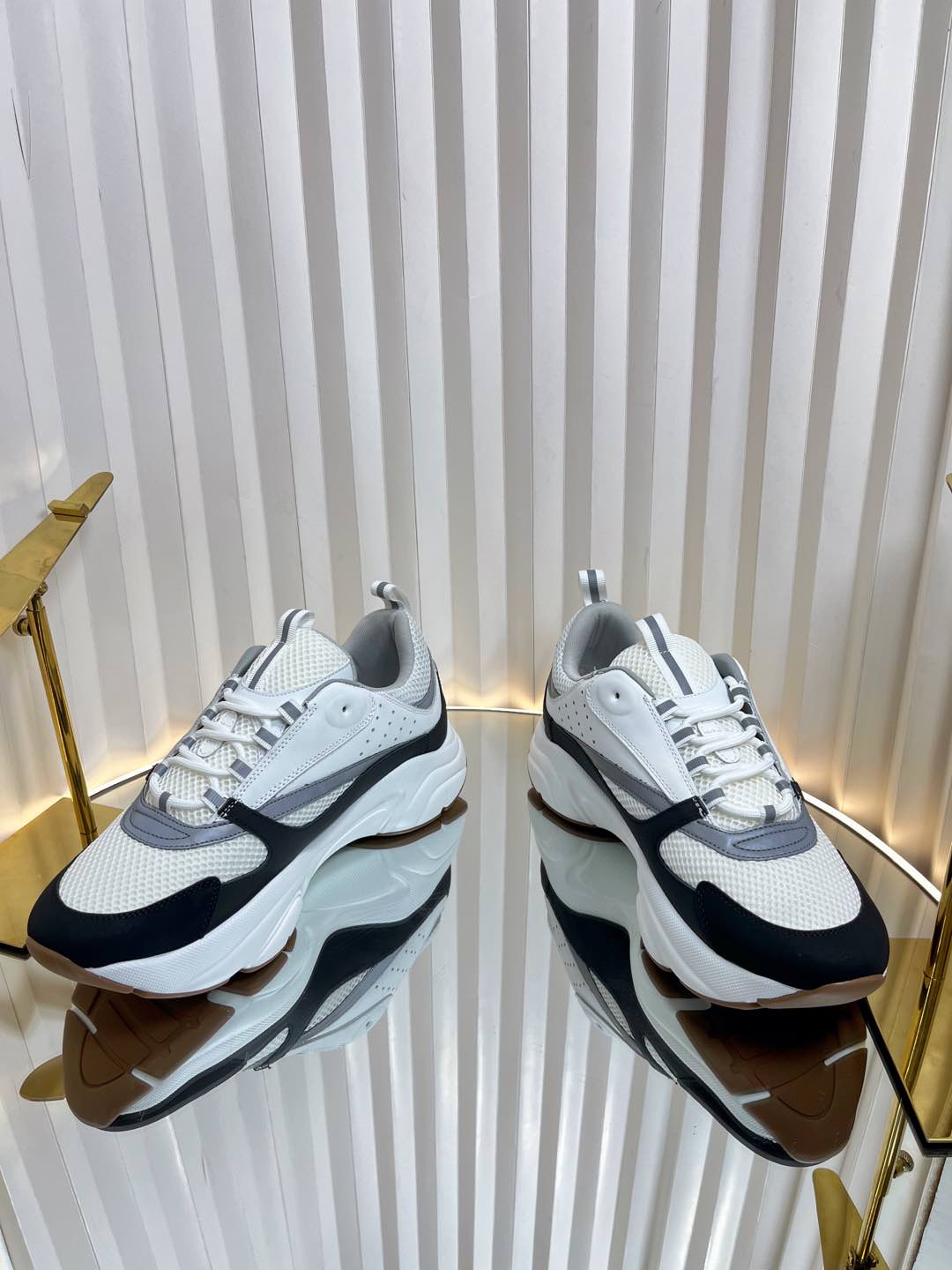 Dior B22 Sneaker
