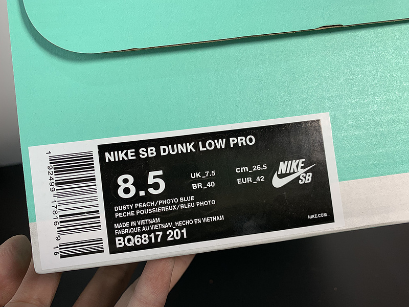 Nike SB Dunk Low Pro BQ6817-201