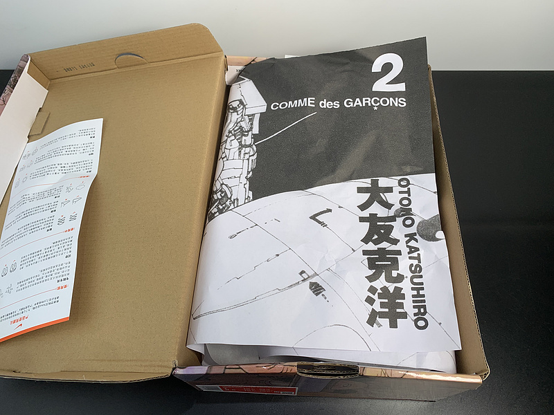 Otomo Katsuhiro x NK SB Dunk Low 