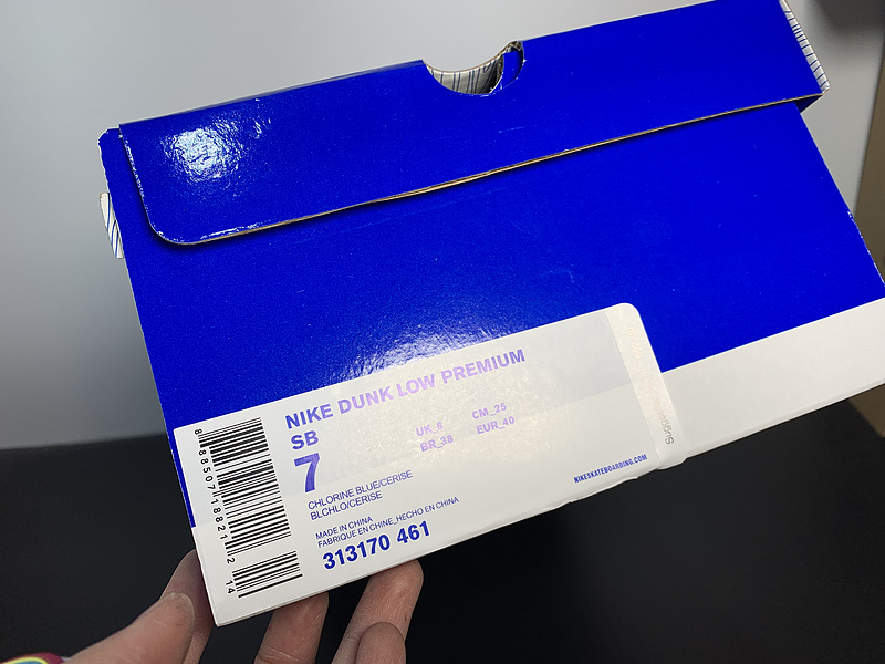 Nike SB Low Ms.Pacman 313170-461