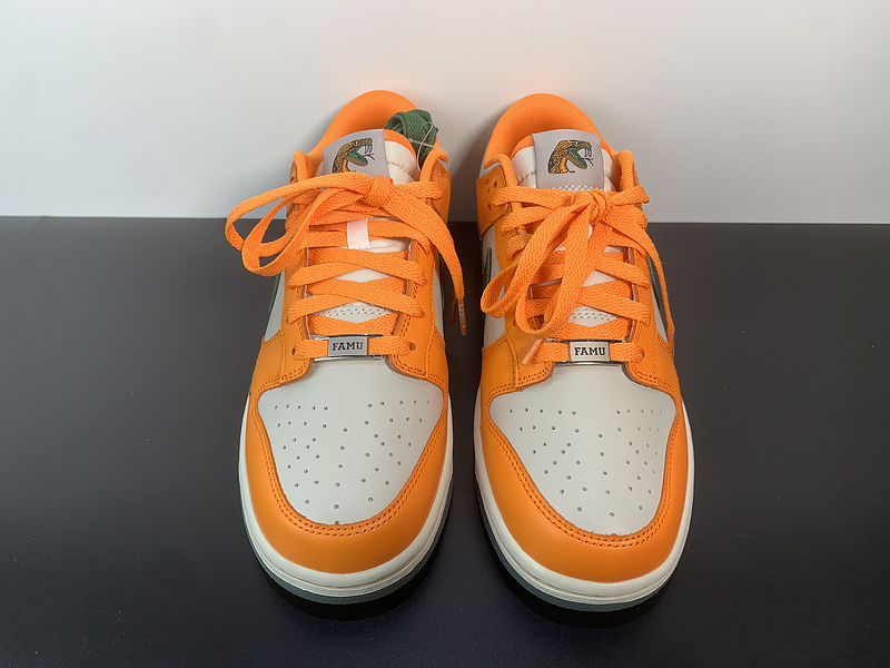 Florida A&M x Nike Dunk Low 6188-800