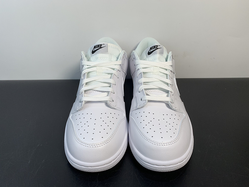 Dunk Low DD1503-109V