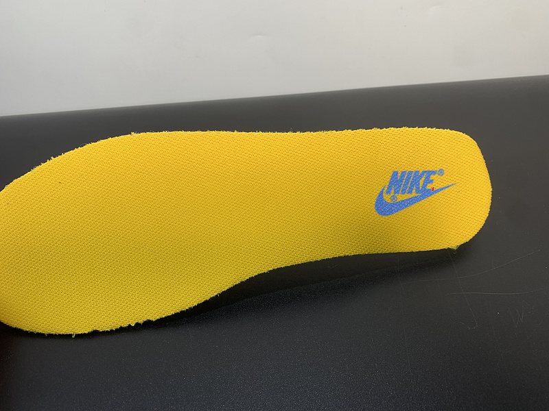 Nike Dunk Low“ Coast”DD1503-100