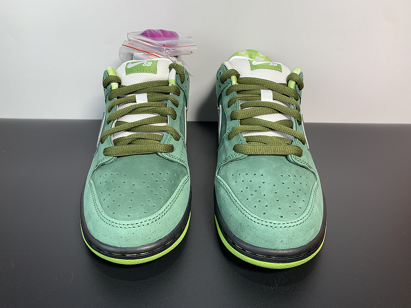 Concepts x NK SB Dunk Low BV1310-337