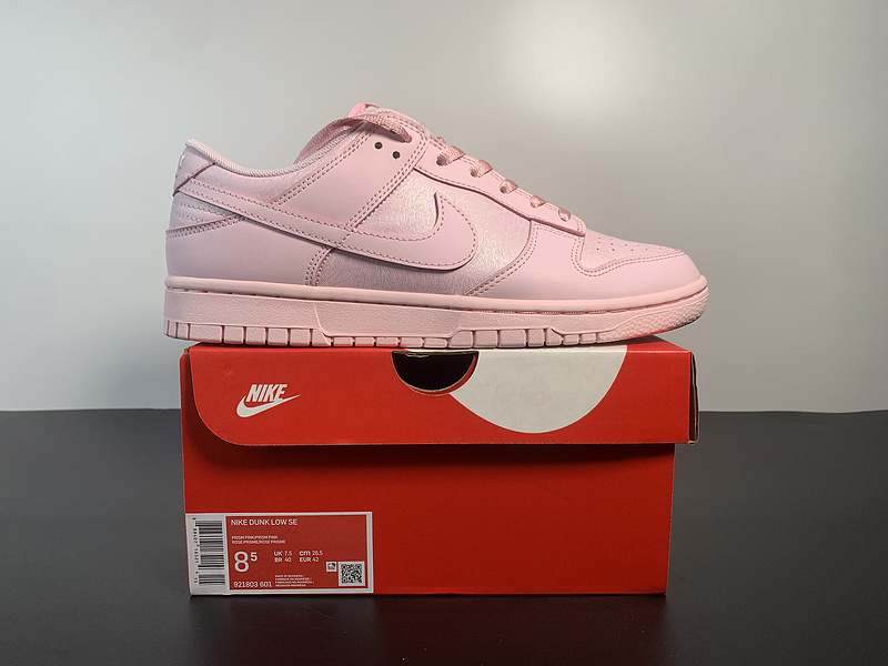 NIKE DUNK Low SE（GS）921803-601