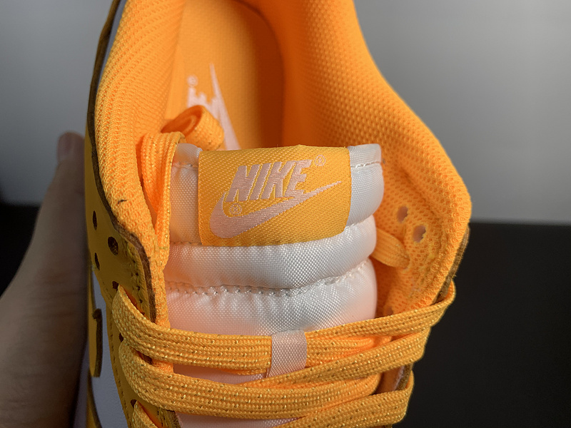 Nike WMNS SB Dunk Low