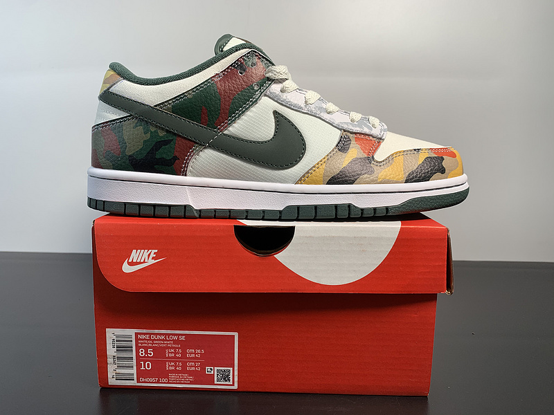 Nike SB Dunk Low SE  DH0957-100​