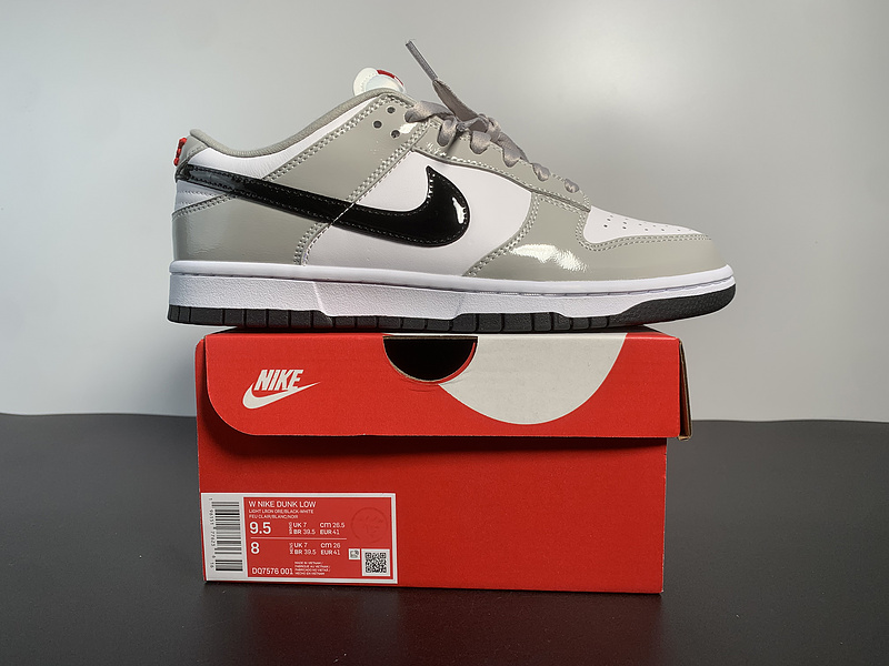 Nike Dunk Low DQ7576-001