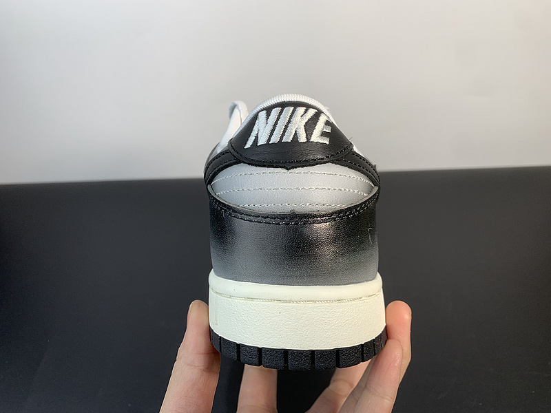 SB Dunk Low Premium SB 306793-101