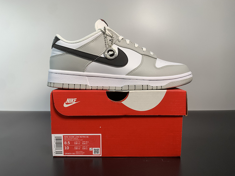 Nike Dunk Low DR9654-001