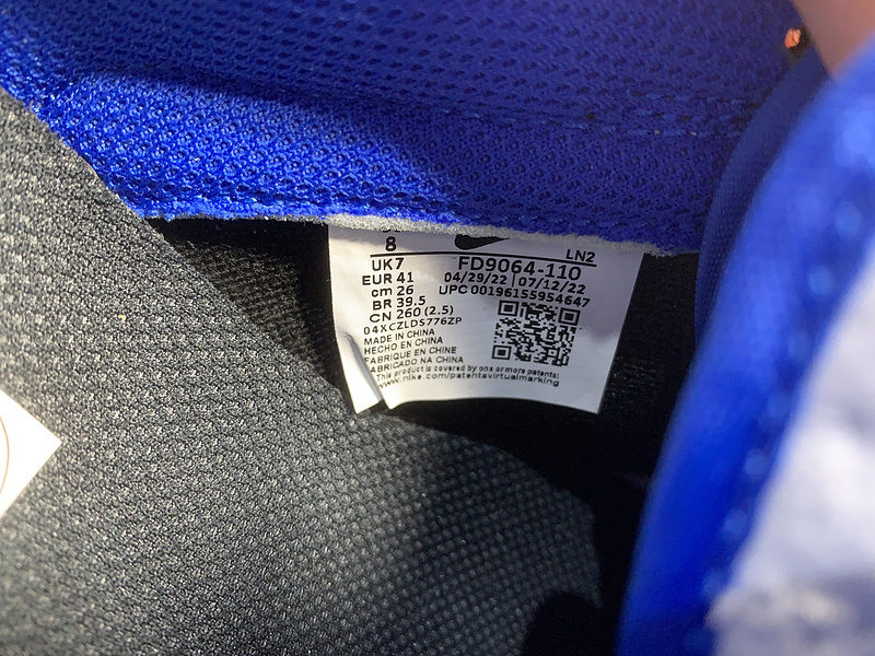 NK Dunk Low FD9064-110