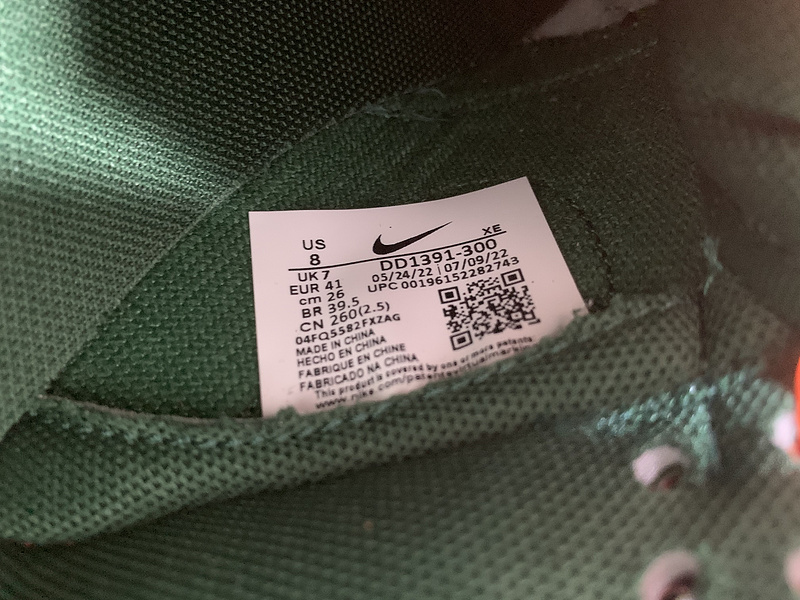 Nike Dunk Low DD1391-300